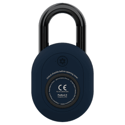 Square format logo of Padlock E