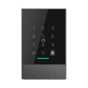 Image for device IntelliReader