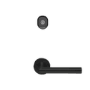 Image for device Electronic Lock for Hotel SYN