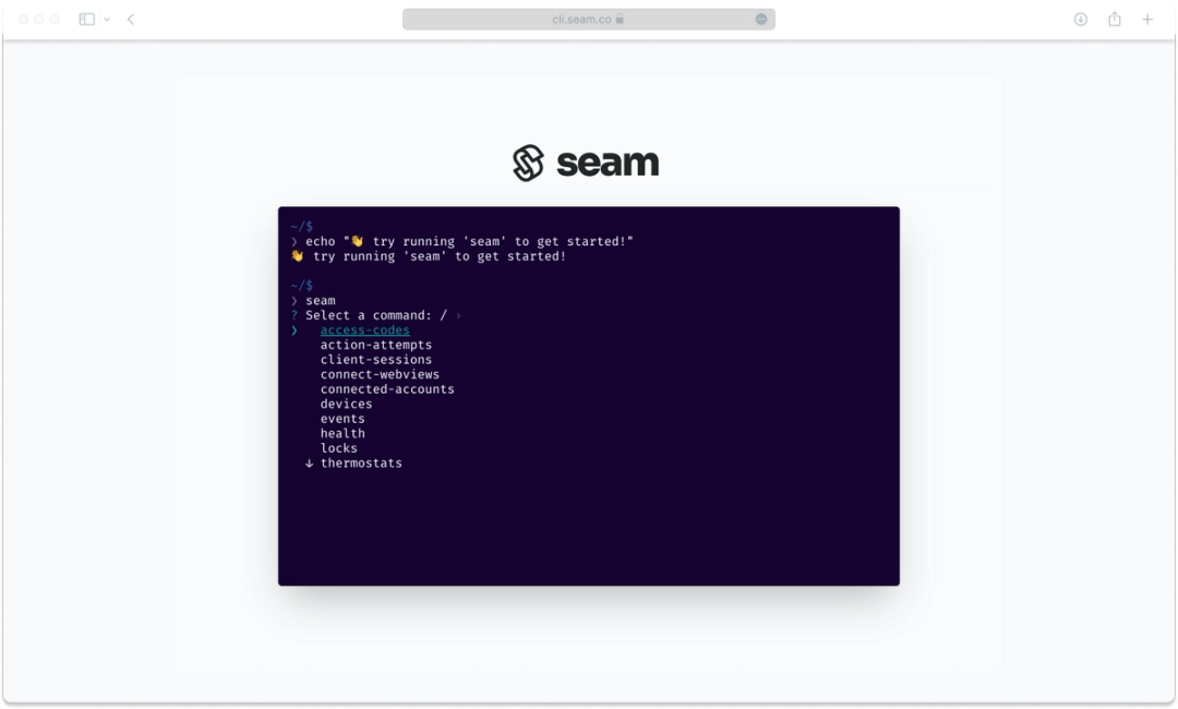 Seam CLI runs in a browser