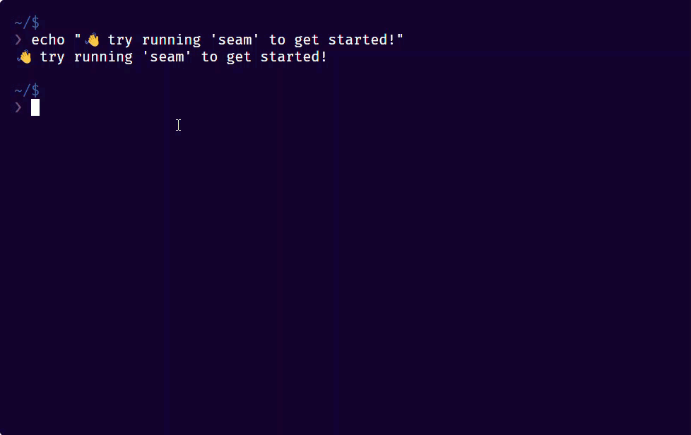 Demo of the Seam CLI in action